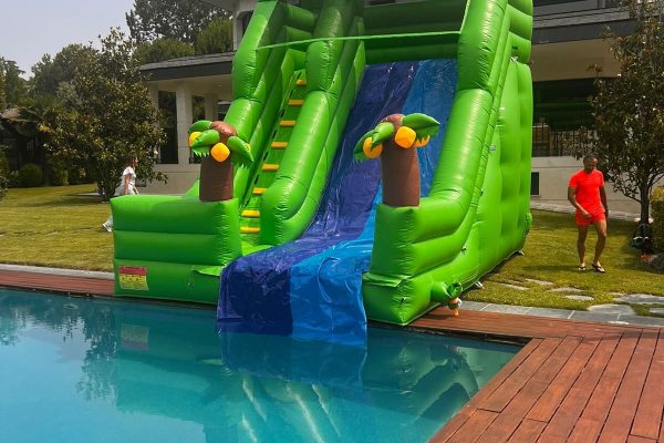 tobogan acuatico jungla Tobogan hinchable acuático jungla